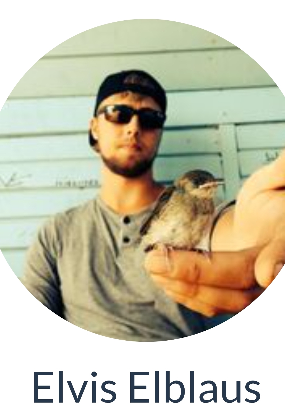 Elvis Elblaus